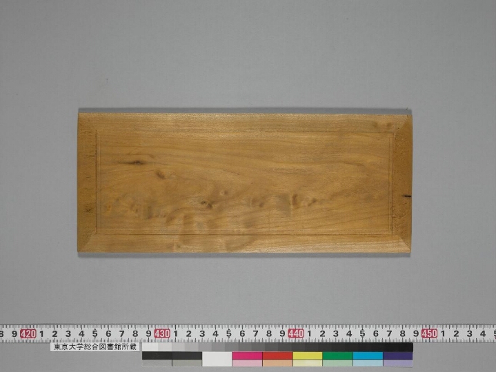 Cāṇakyasārasaṅgraha manuscript preview