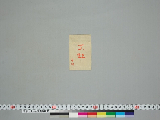 Caityapuṅgala manuscript preview