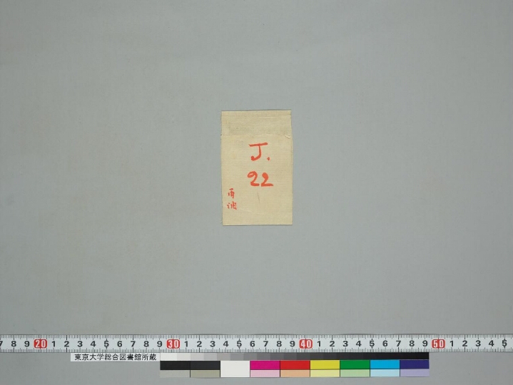 Caityapuṅgala manuscript preview