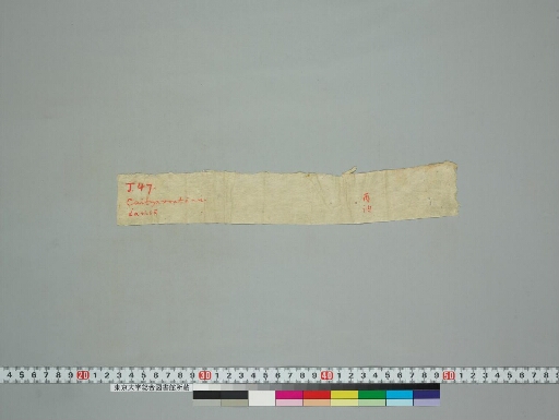 Caityavratānuśaṃsāvadāna manuscript preview