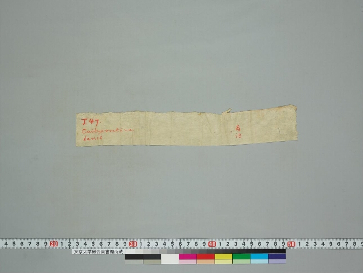 Caityavratānuśaṃsāvadāna manuscript preview