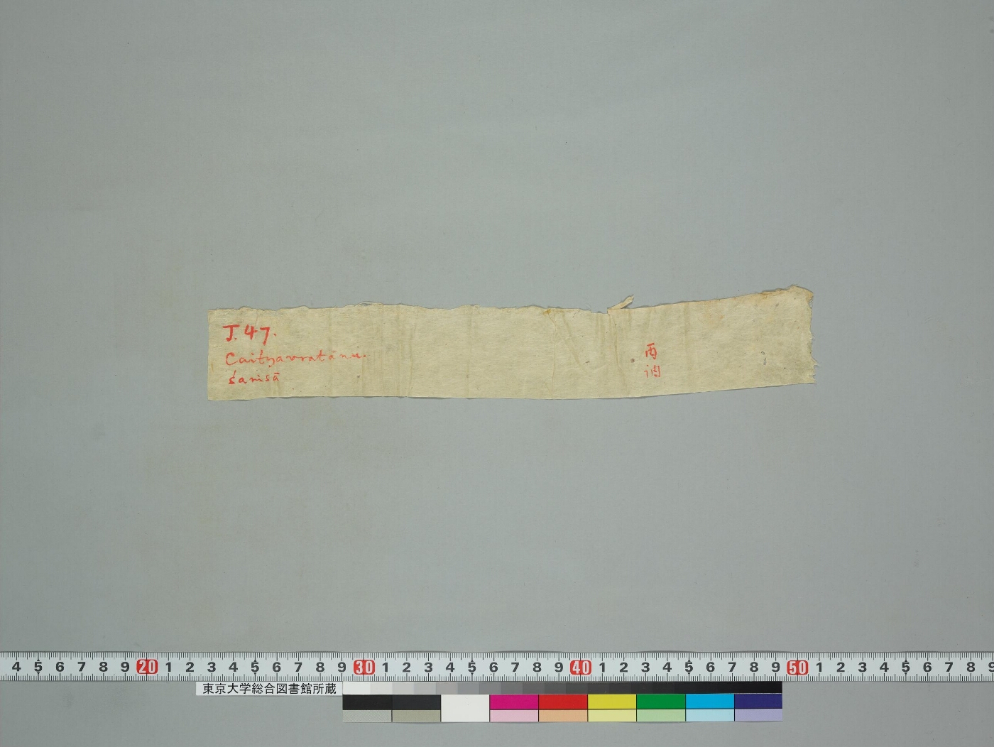 Caityavratānuśaṃsāvadāna manuscript preview
