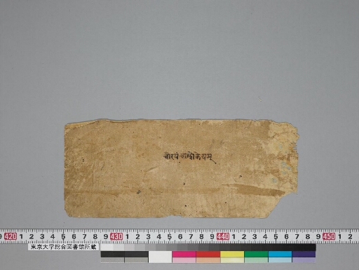 Caurapañcāśikā and Ṭīkā manuscript preview
