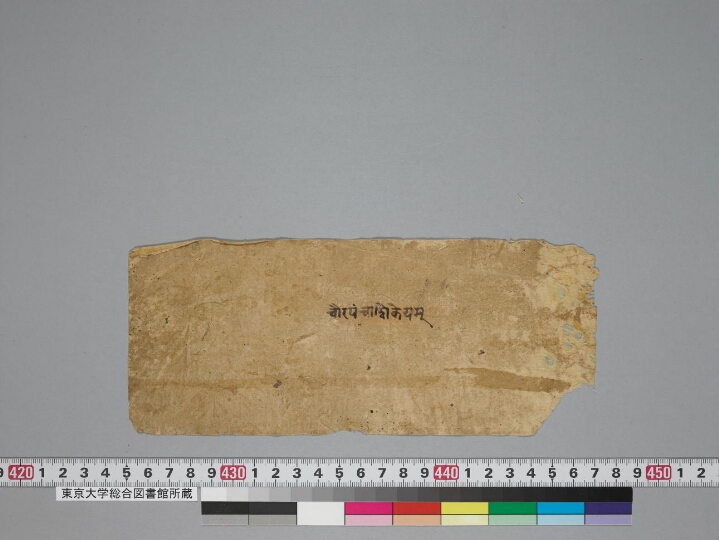 Caurapañcāśikā and Ṭīkā manuscript preview