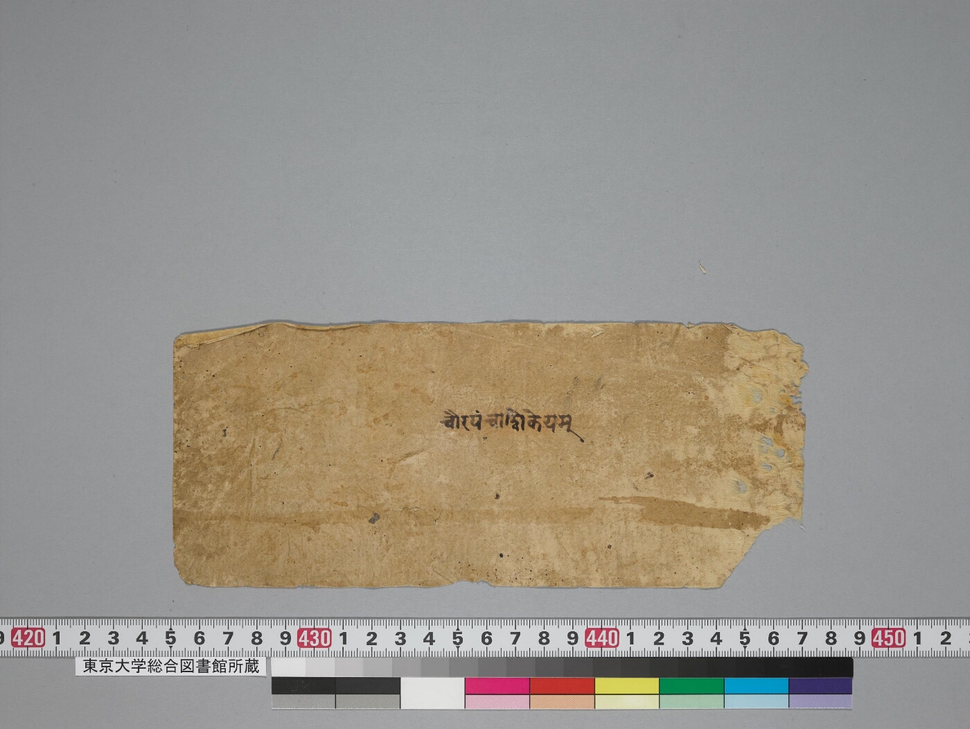 Caurapañcāśikā and Ṭīkā manuscript preview