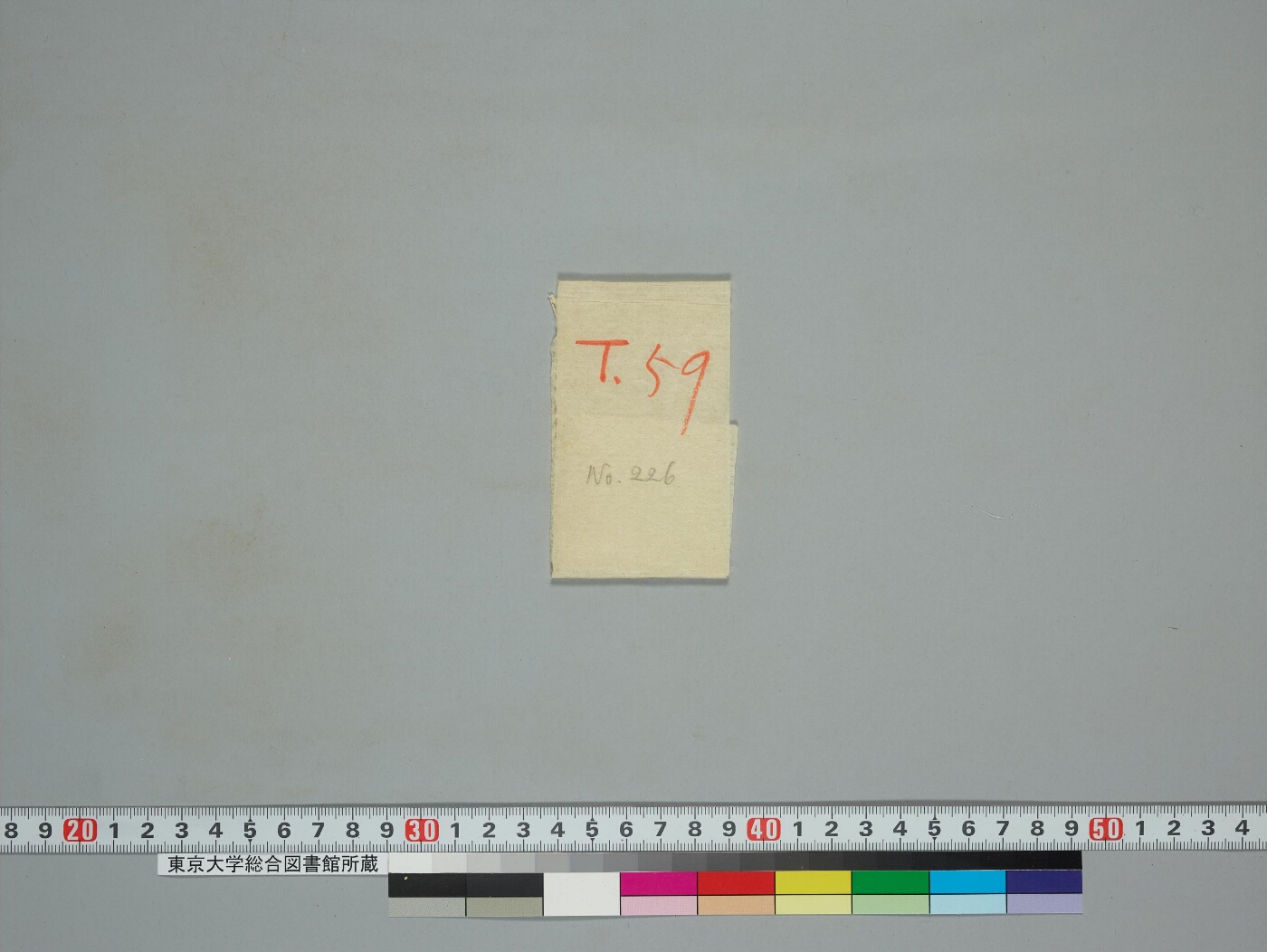 Janmarājāmāhātmyadhāraṇī manuscript preview