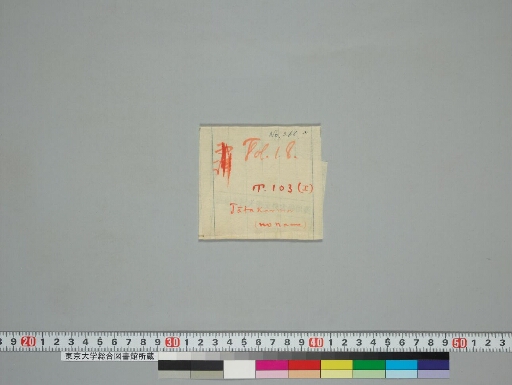 Composite Manuscript (Jātakarman; Rudrākṣalakṣaṇa) manuscript preview