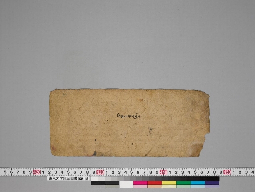 Composite Manuscript (Jātakālaṅkāra; Kakṣapuṭa ) manuscript preview