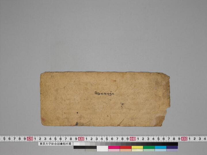Composite Manuscript (Jātakālaṅkāra; Kakṣapuṭa ) manuscript preview