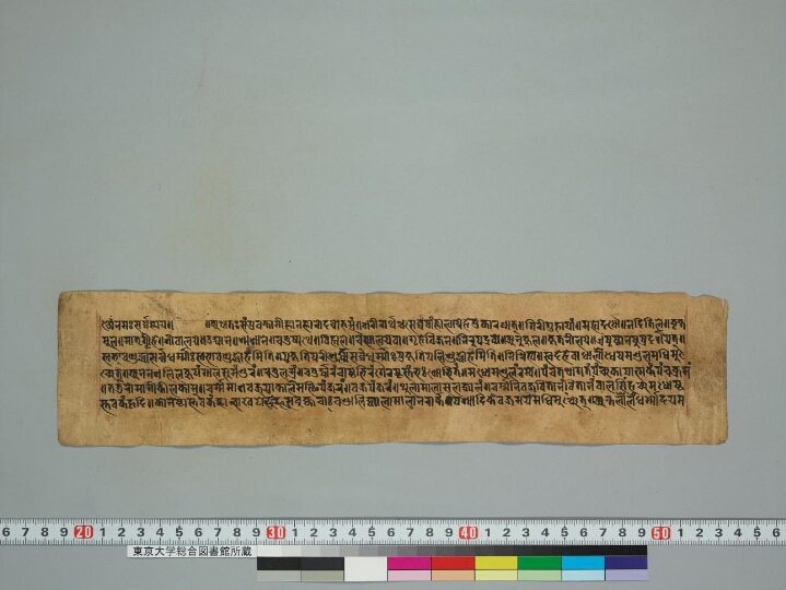 Jñānodayapañjikā manuscript preview