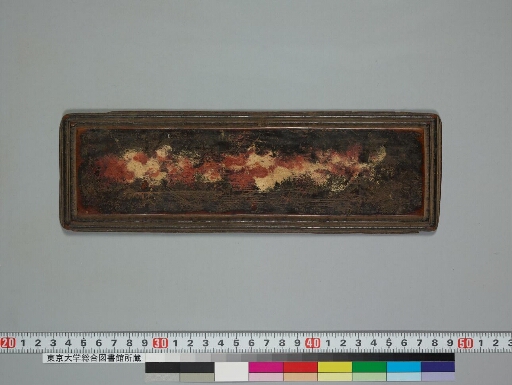 Ḍākārṇavatantra manuscript preview