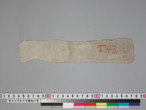 Ḍākārṇavatantra manuscript preview