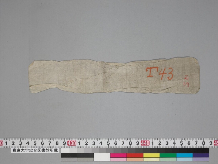 Ḍākārṇavatantra manuscript preview