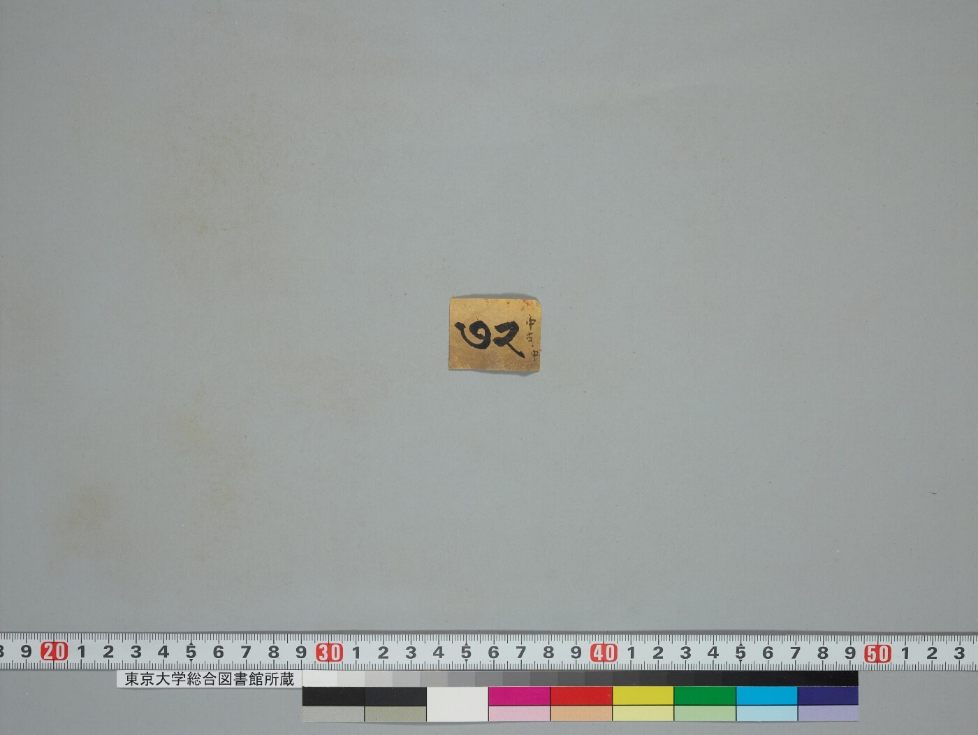Tattvajñānasaṃsiddhi manuscript preview