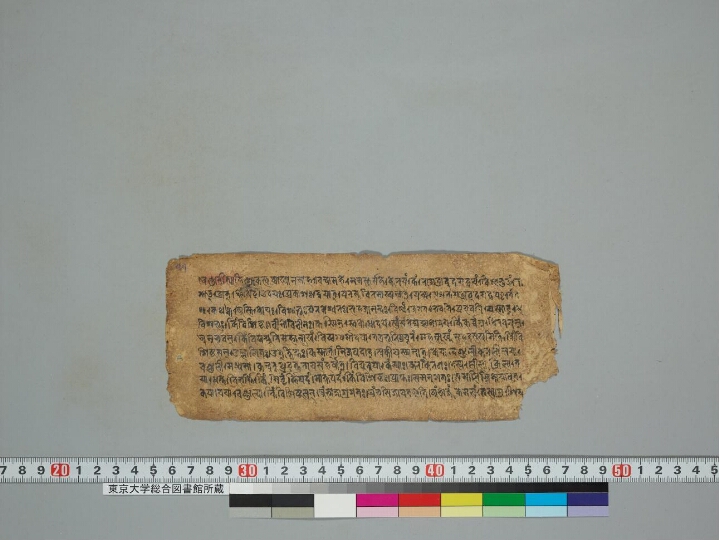 Tattvajñānasaṃsiddhi with Marmakaṇikā manuscript preview