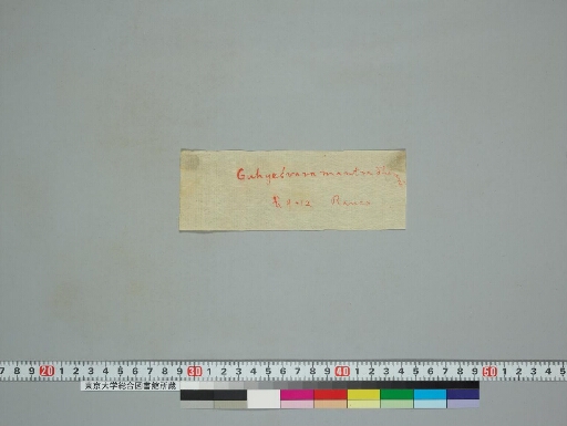 Composite Manuscript manuscript preview