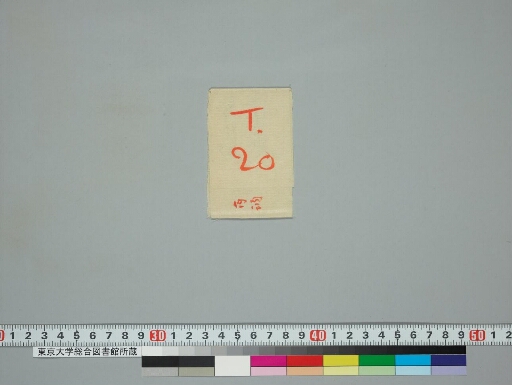 Tārādevyānamaskāraikaviṃśatīnāma stotra manuscript preview