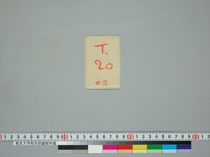 Tārādevyānamaskāraikaviṃśatīnāma stotra manuscript preview