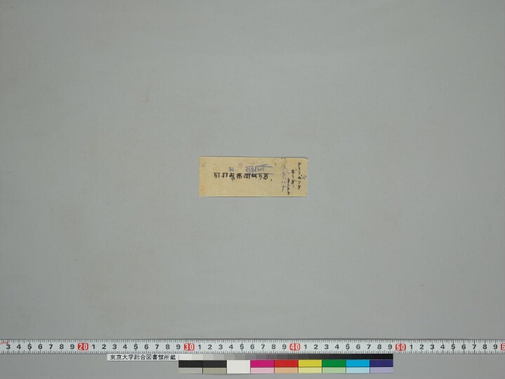 Tārābhaktisudhārṇava manuscript preview