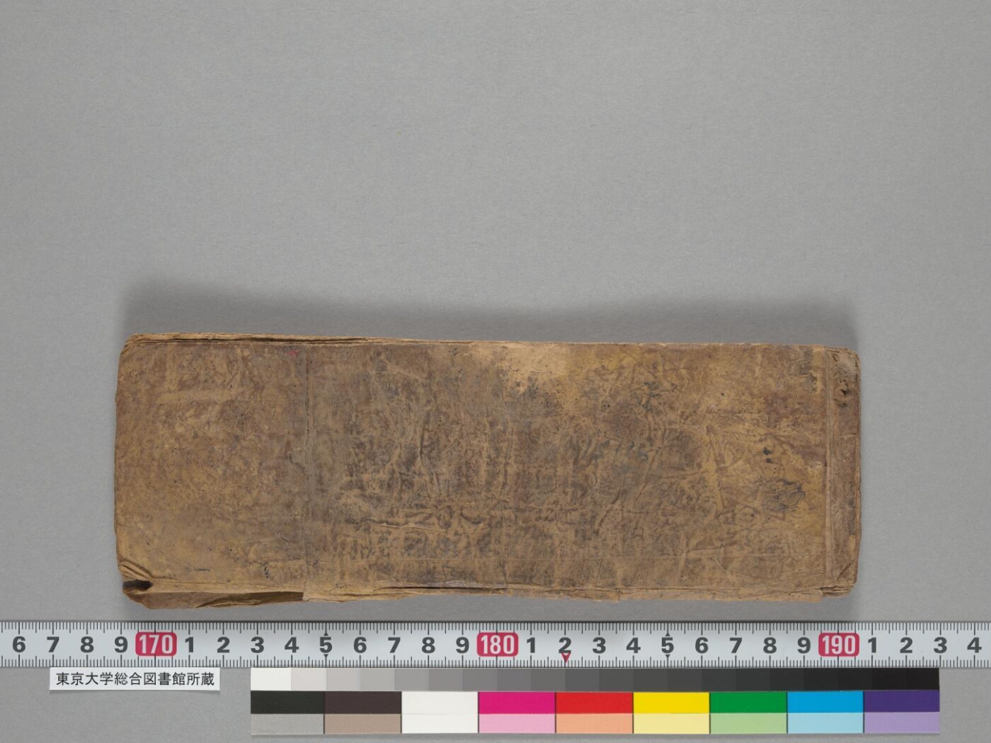 Tārābhaṭṭārikāyānāmāṣṭottaraśataka manuscript preview