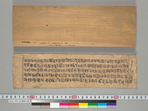 Tārābhaṭṭārikāyānāmāṣṭottaraśataka manuscript preview