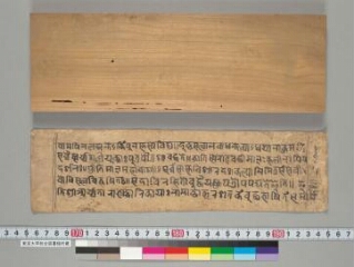 Tārābhaṭṭārikāyānāmāṣṭottaraśataka folio 1