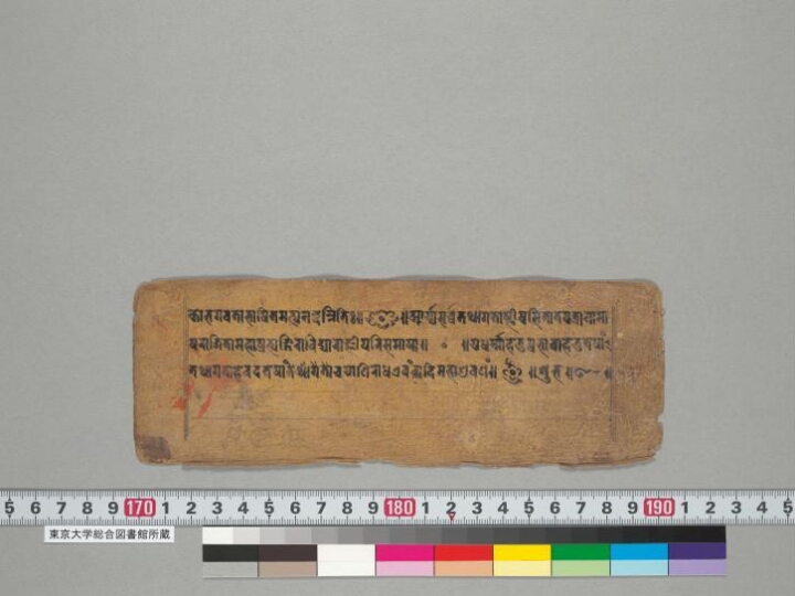 Composite Manuscript (Tathāgatoṣṇīṣasitātapatrā nāma pratyaṅgirā; Tārābhaṭṭārikāyānāmāṣṭottaraśataka; Ajanyakalidharaṇī(?)) manuscript preview