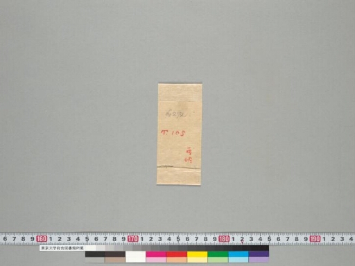 Tārābhaṭṭārikāyānāmāṣṭottaraśataka manuscript preview