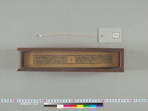 Tīrthacintāmaṇi manuscript preview