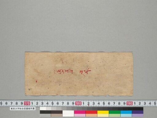 Daśabalastavastotra manuscript preview
