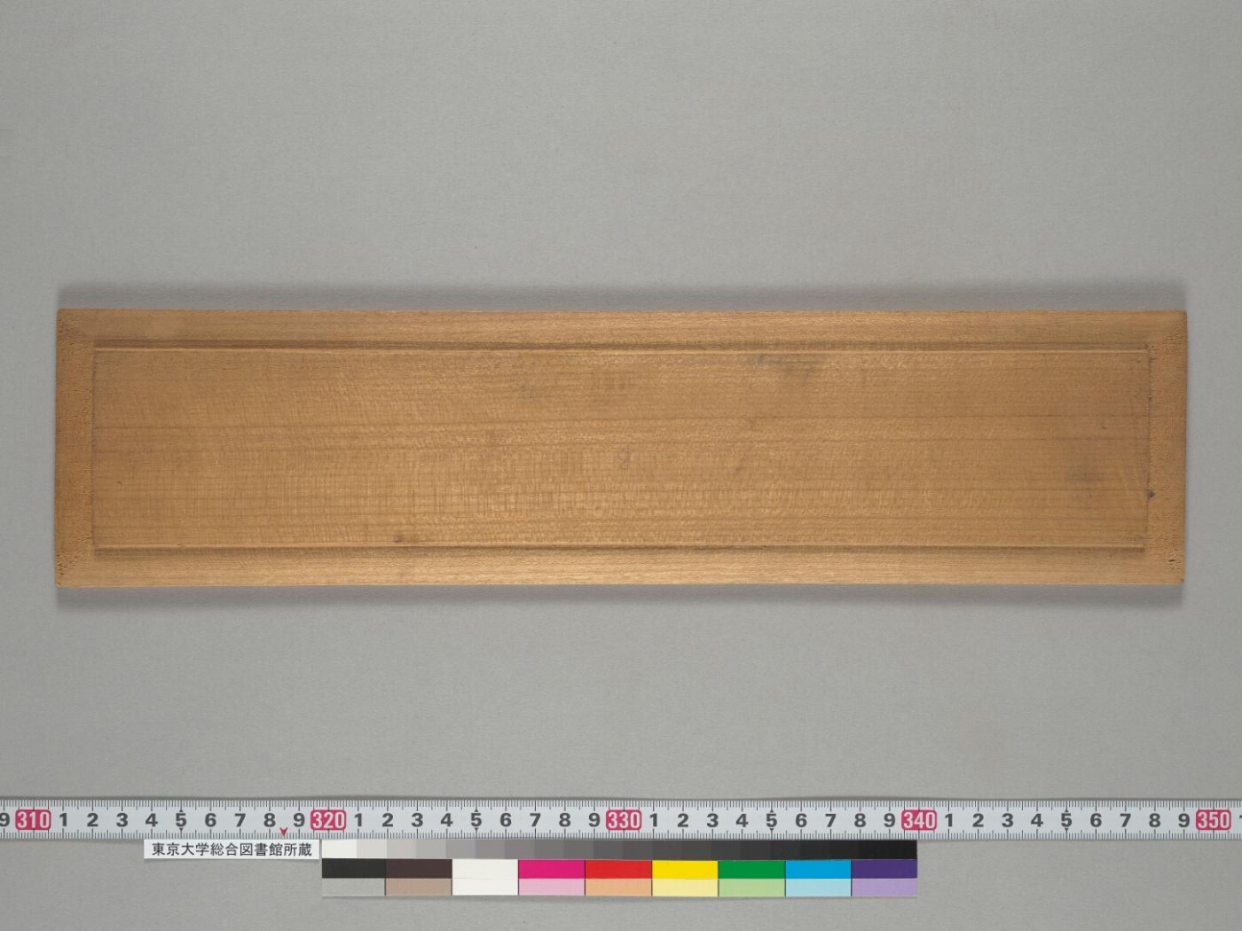 Daśabhūmīśvara-nāma-mahāyānasūtra-ratnarāja manuscript preview