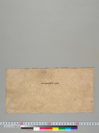 Dānakamalākara manuscript preview