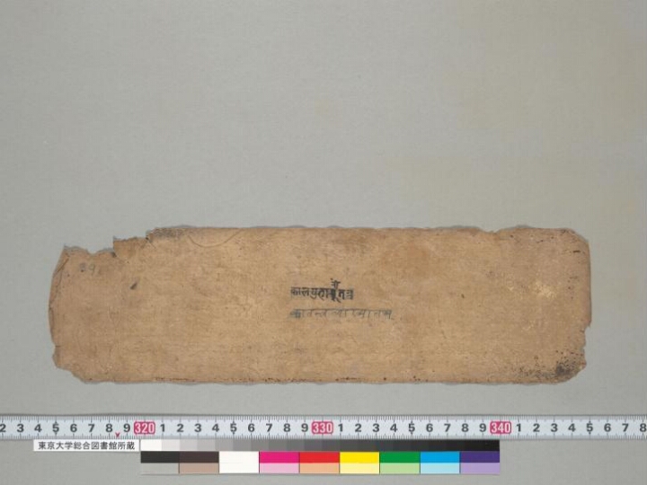 Daurgasiṃhavṛtti manuscript preview