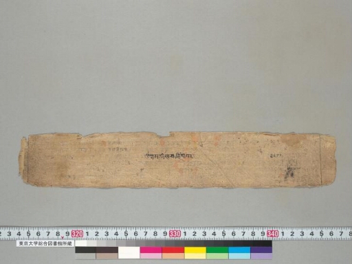 Dvāviṃśatyavadānakathā manuscript preview