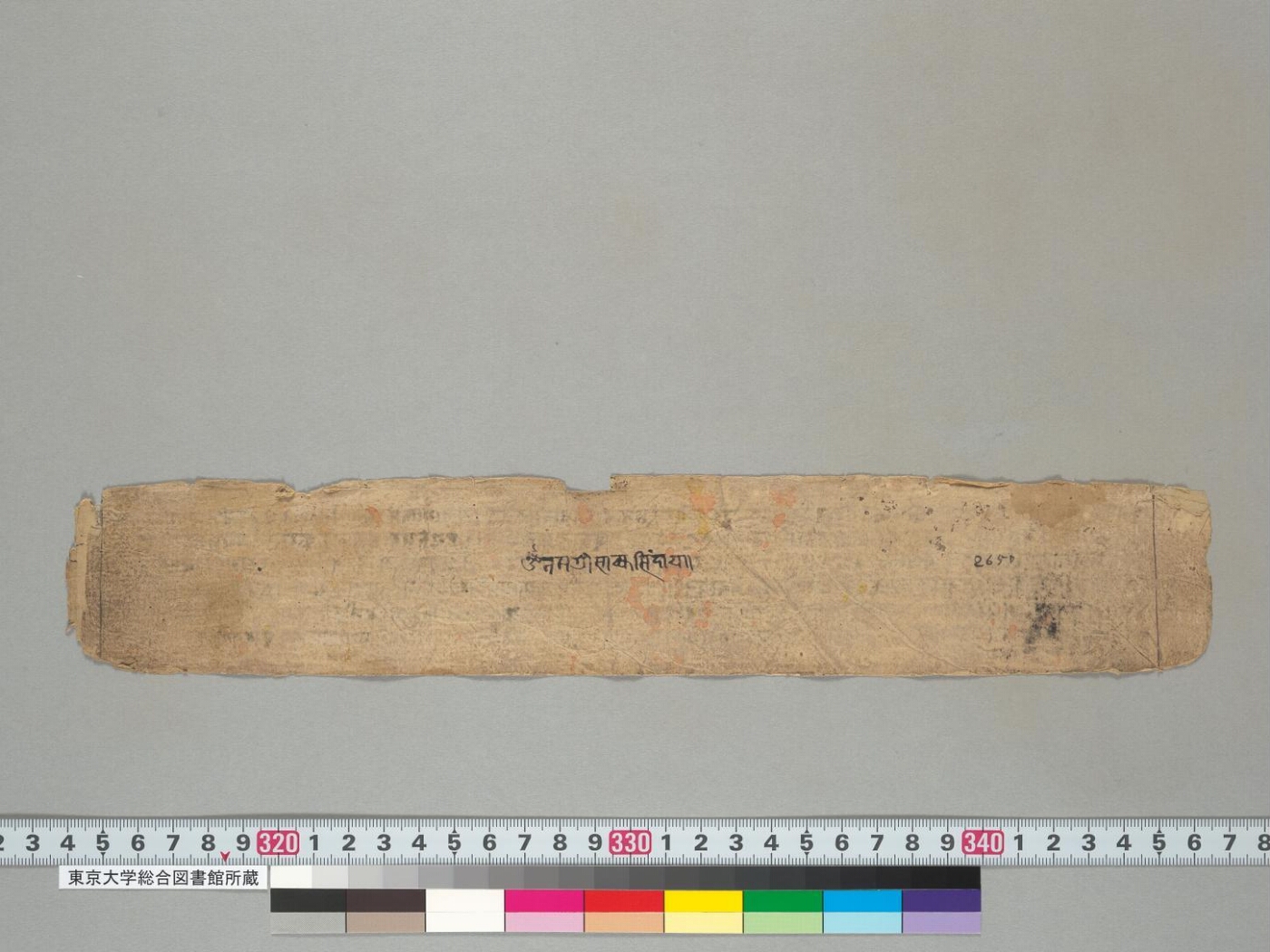 Dvāviṃśatyavadānakathā manuscript preview