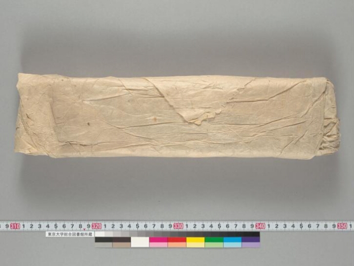 Dvāviṃśatyavadānakathā manuscript preview