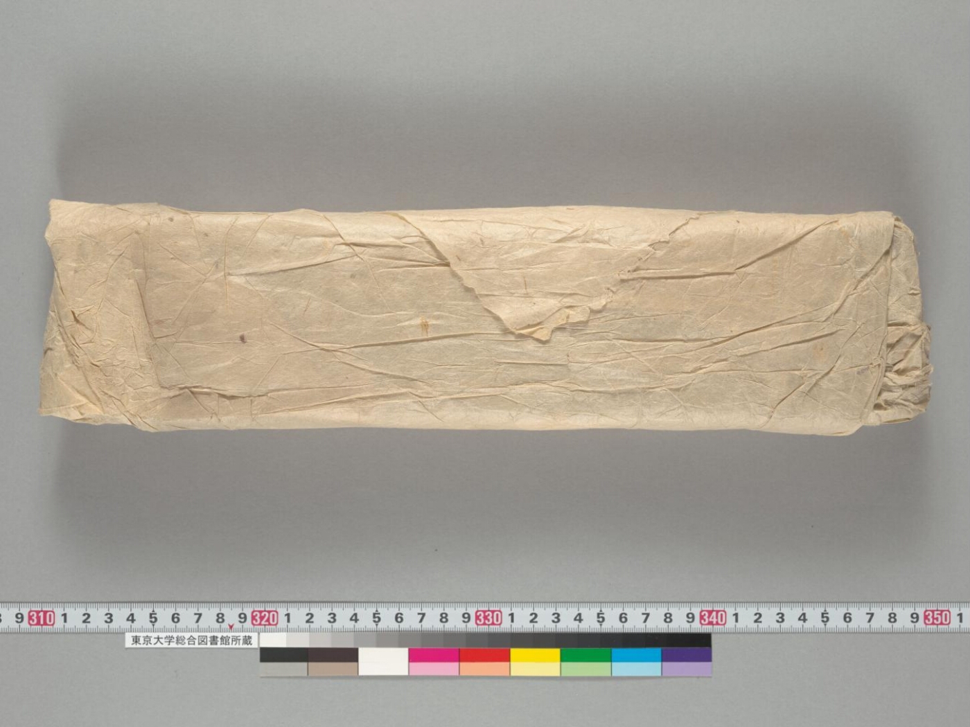Dvāviṃśatyavadānakathā manuscript preview