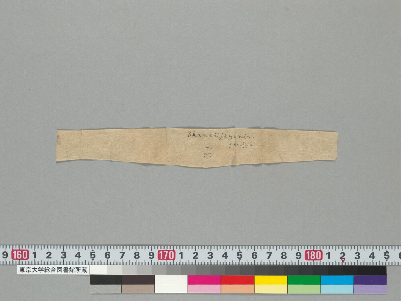 Dhanañjayanighaṇṭu manuscript preview