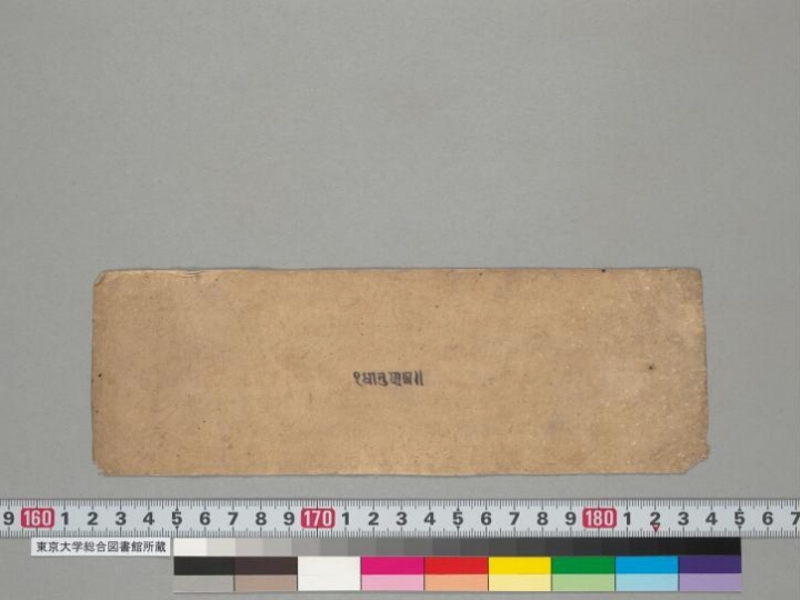 Dhātupāṭha manuscript preview