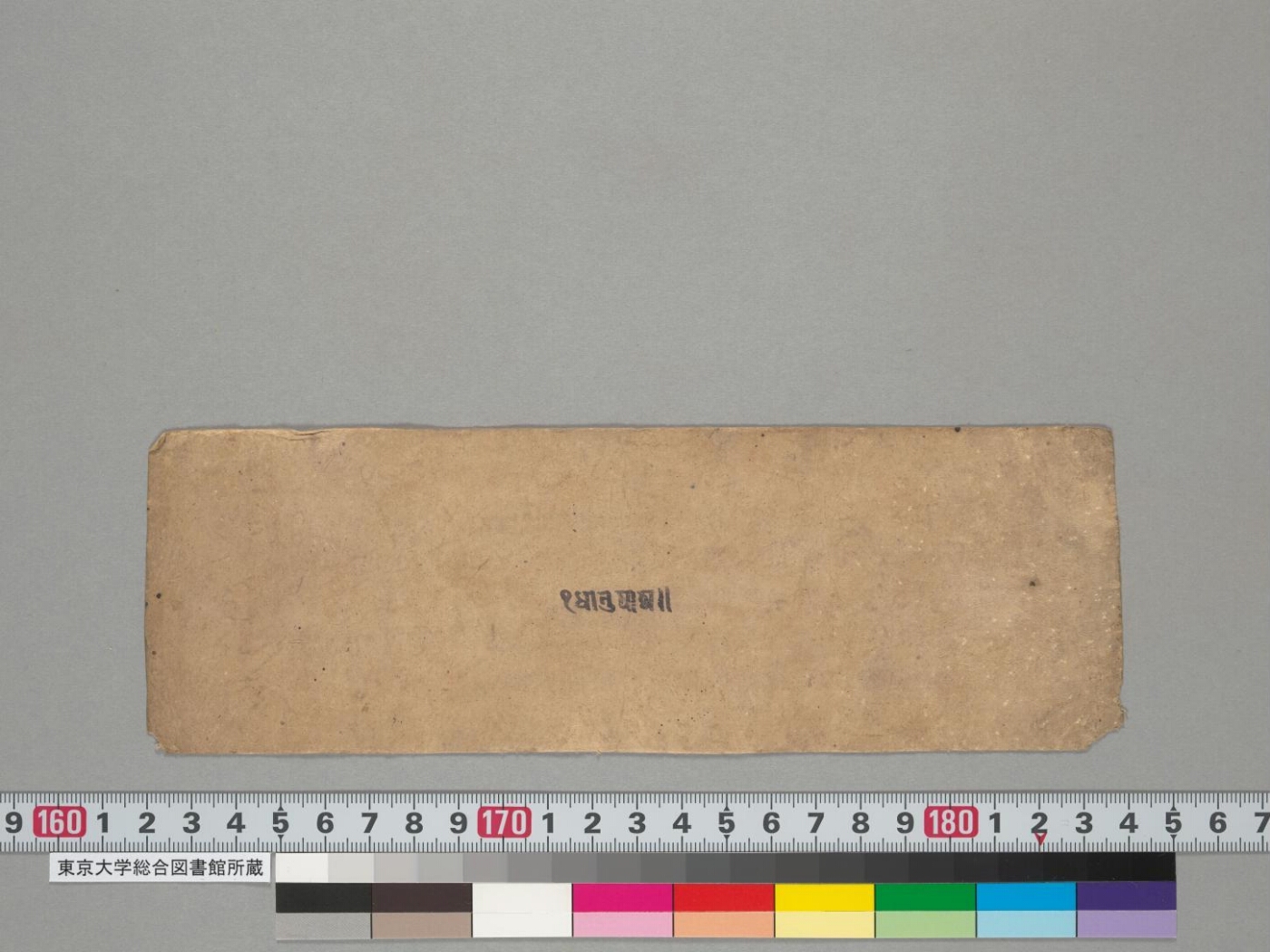 Dhātupāṭha manuscript preview