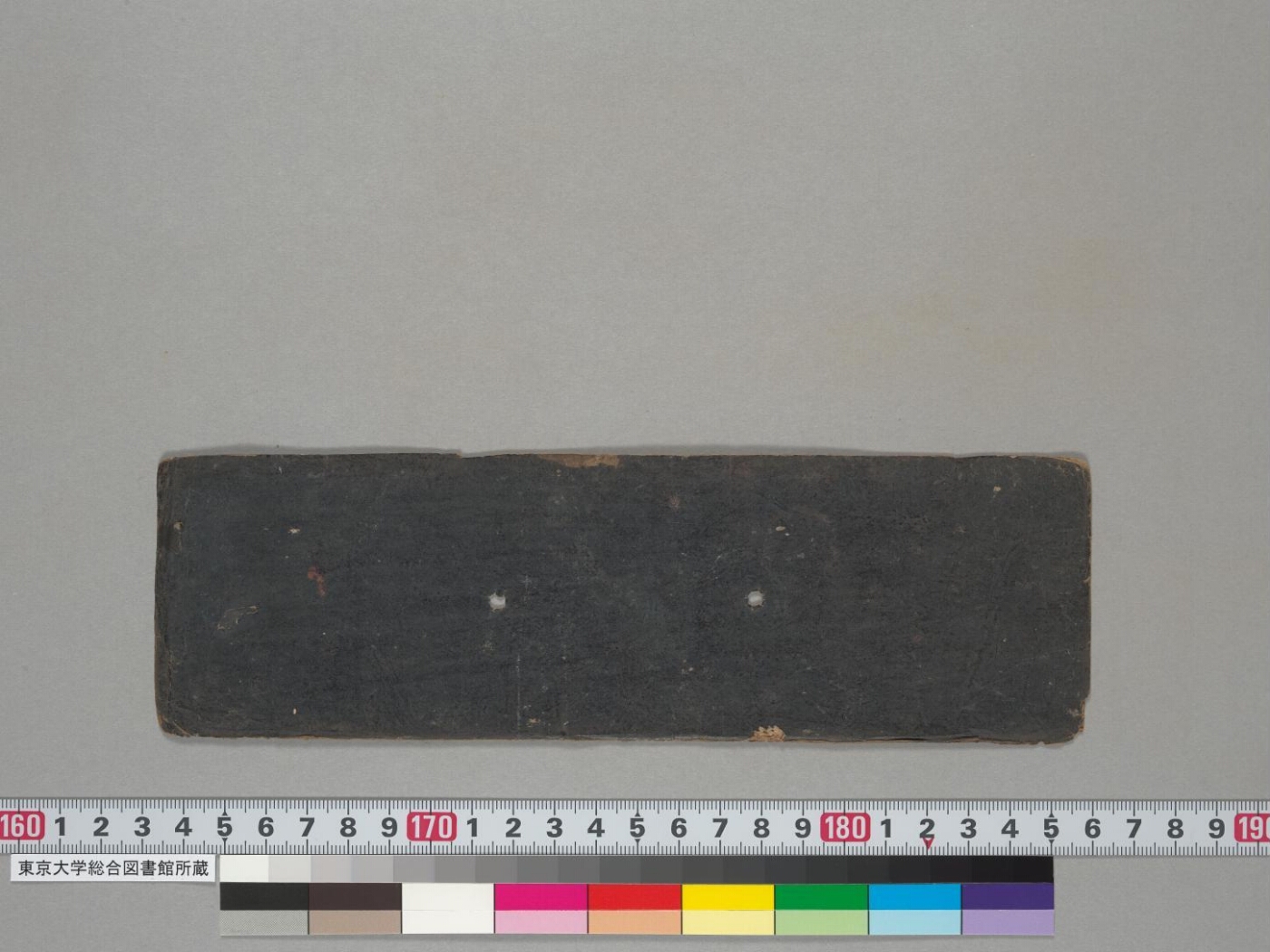 Dhāraṇī collection manuscript preview