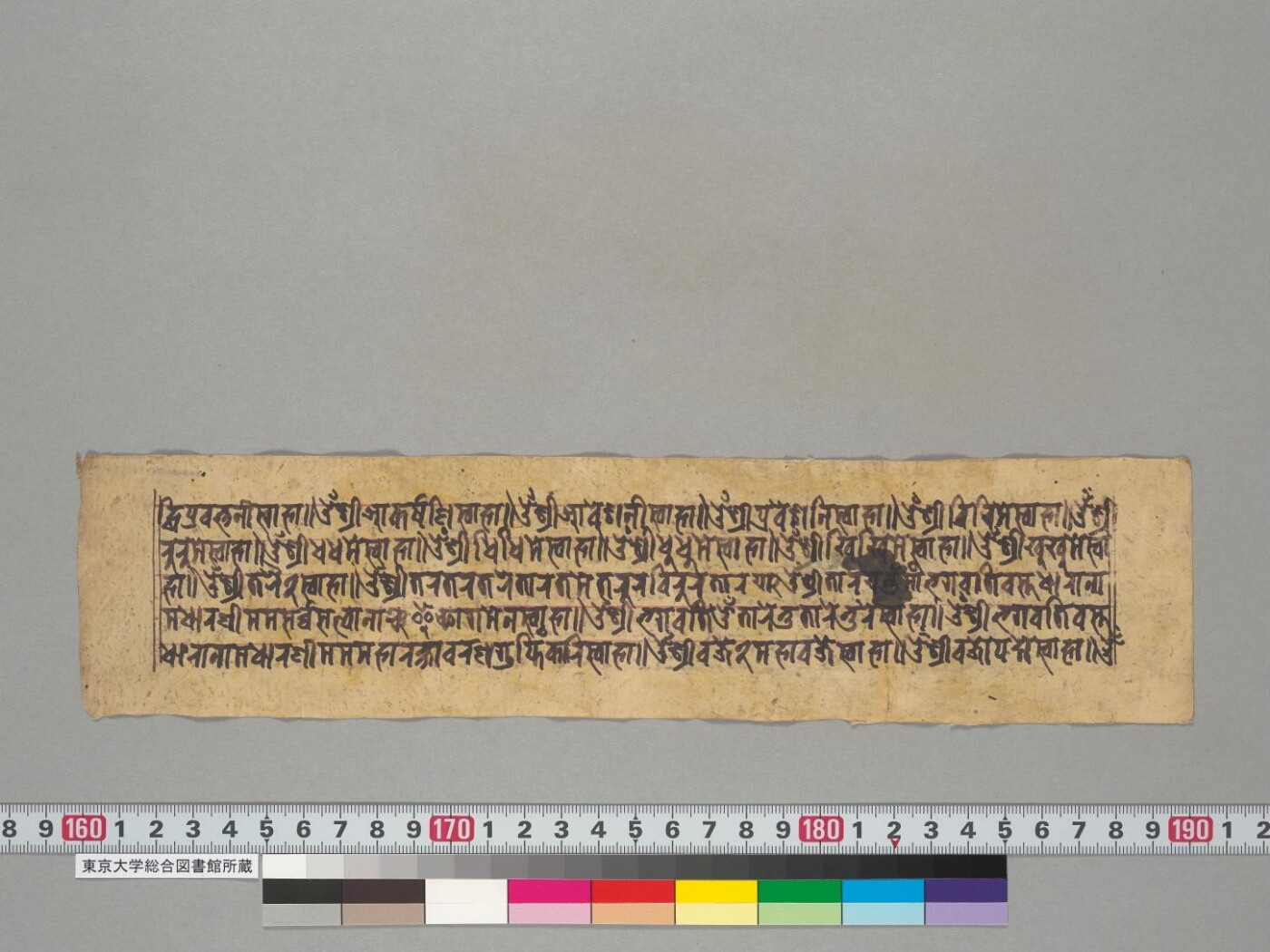 Dhāraṇī collection manuscript preview