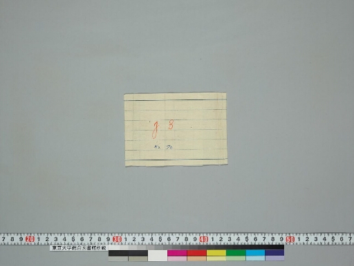 Nagarāvalambikāvadāna manuscript preview