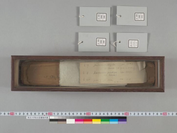 Narakoddharaṇastava manuscript preview