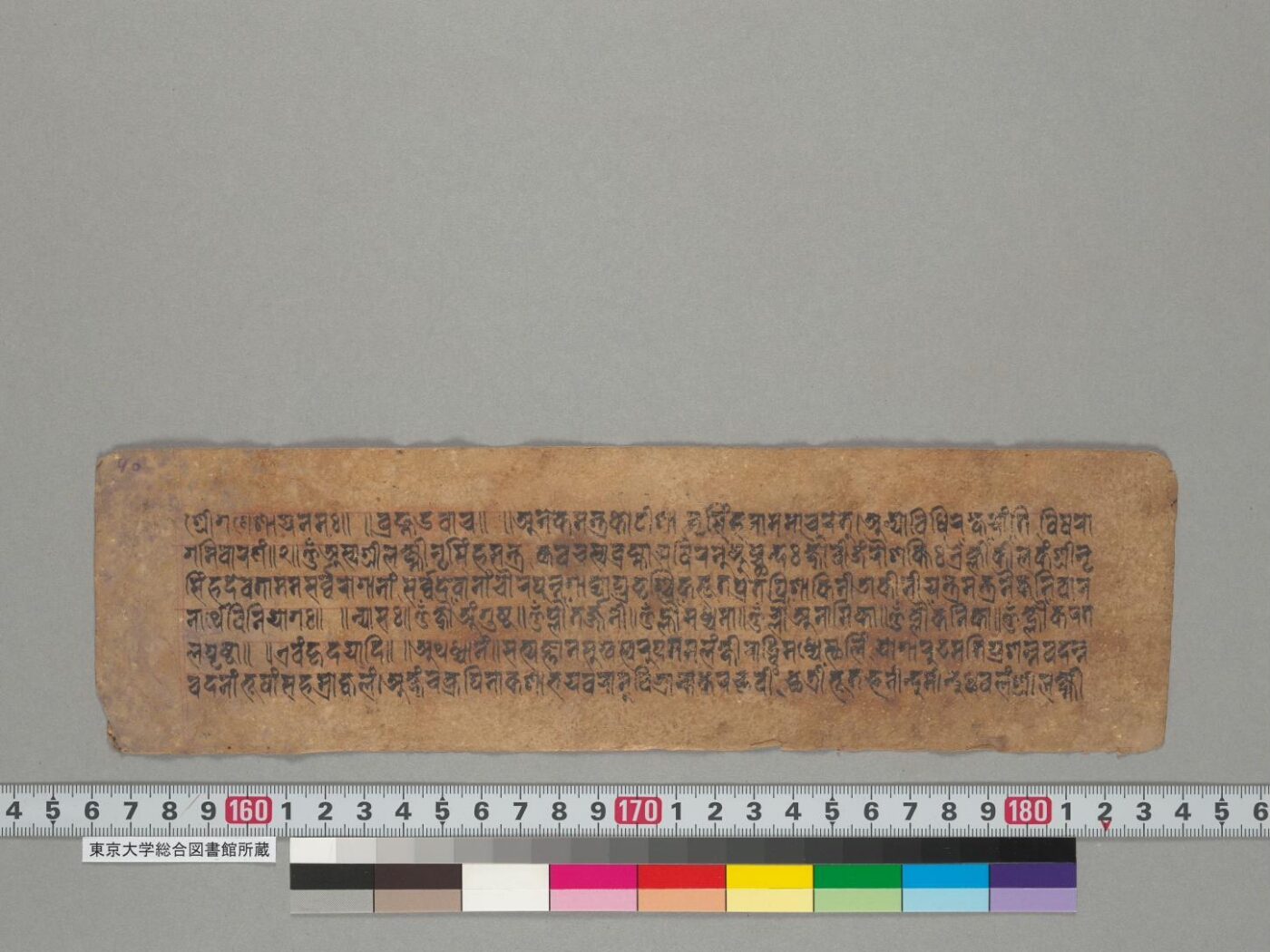 Nṛsiṃhadivyasahasranāma stotra manuscript preview