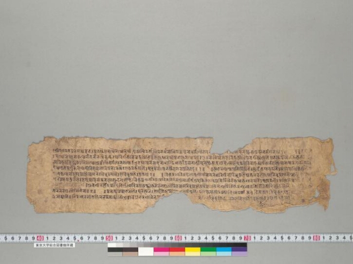 Naiṣadhīyacarita manuscript preview