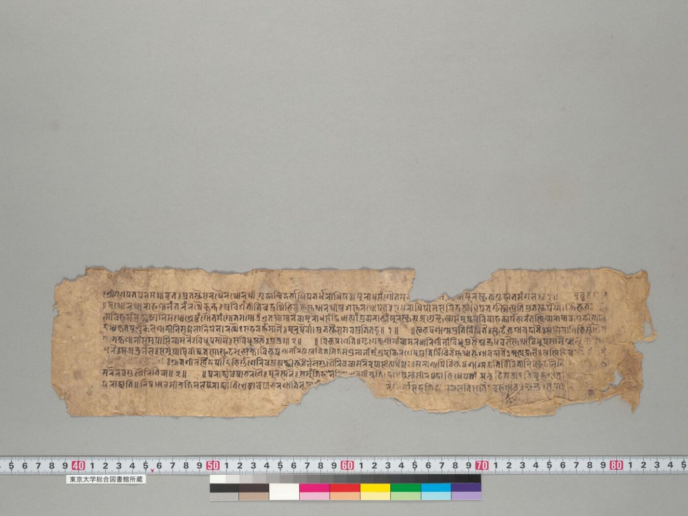 Naiṣadhīyacarita manuscript preview