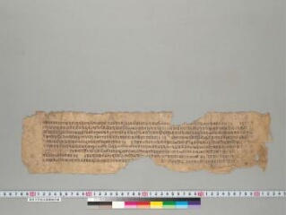 Naiṣadhīyacarita folio 1