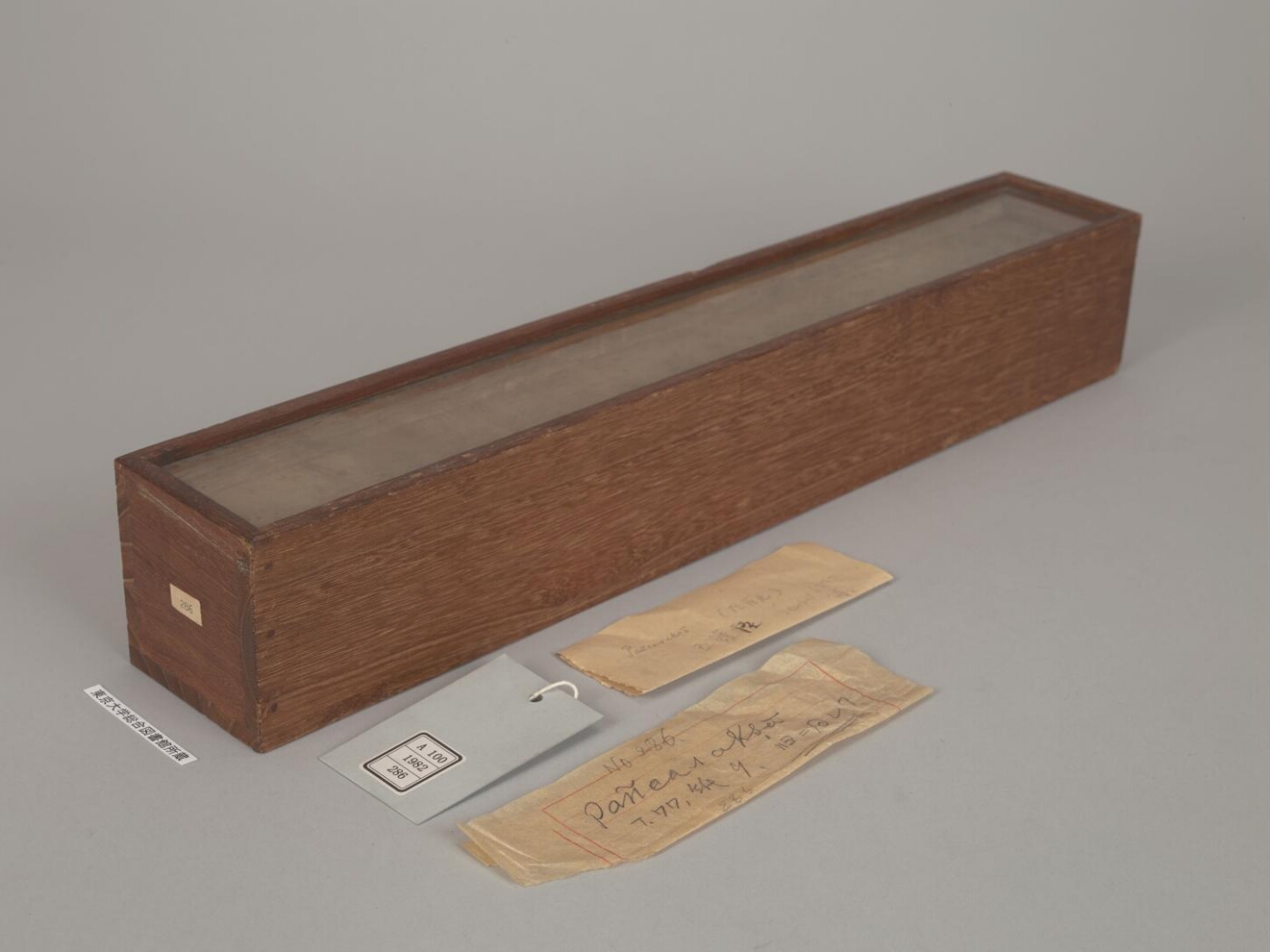 Grahamātṛkādhāraṇī manuscript preview