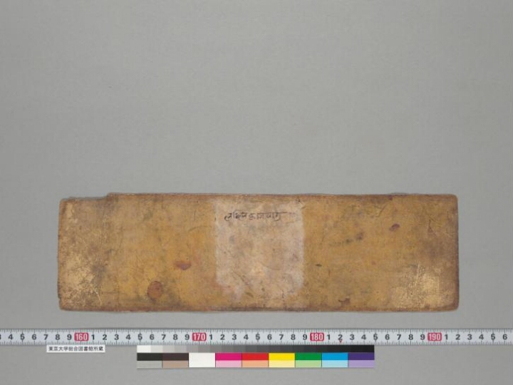 Pañcarakṣā manuscript preview